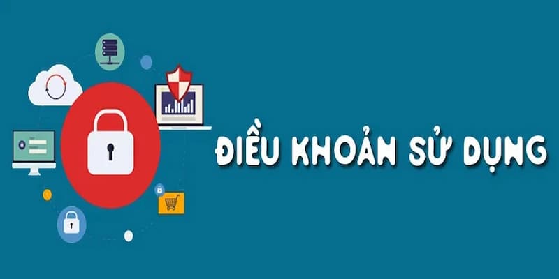 Hướng dẫn cách tiếp cận và đồng ý với điều khoản sử dụng